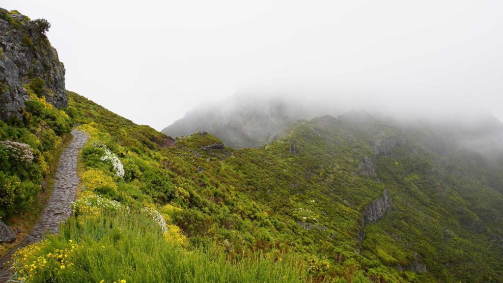 Phalut Trek ridge trail with misty mountains